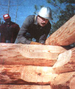 The Lasko School of Log Building was founded to help ordinary people learn how to build their own cabins.